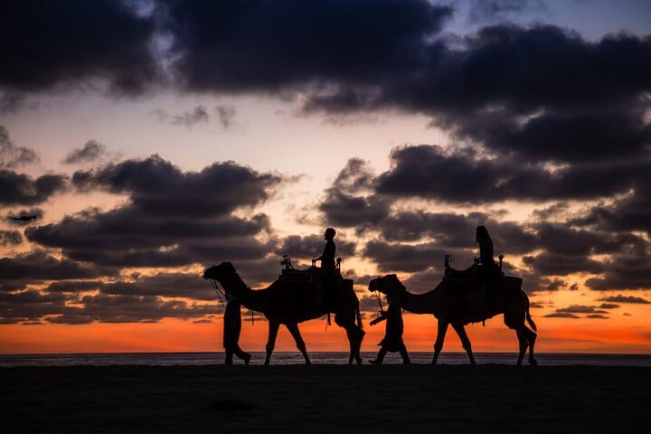 Sunset beach Camel ride with Mexican Buffet and Tequila Tasting