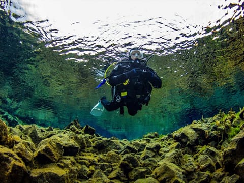 The Tectonic Dive Day Tour, photo 5