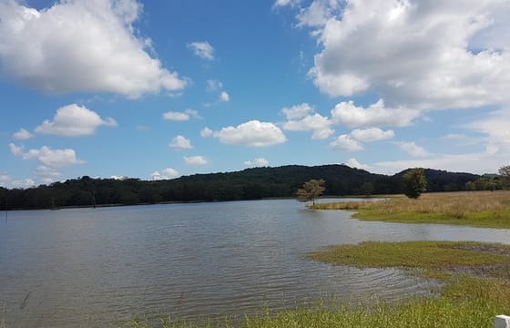 Kaudulla National Park Safari from Sigiriya