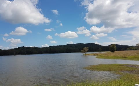 Kaudulla National Park Safari Experience from Sigiriya
