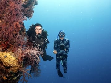 Diving (Intro) Hurghada