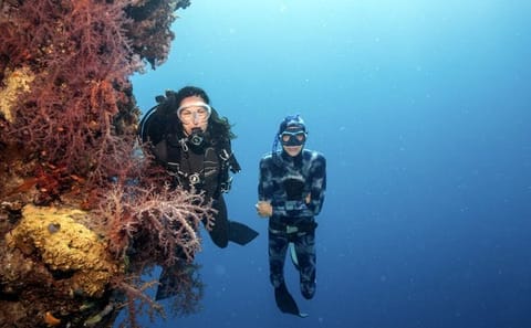 Introductory Diving Experience in Hurghada, Egypt