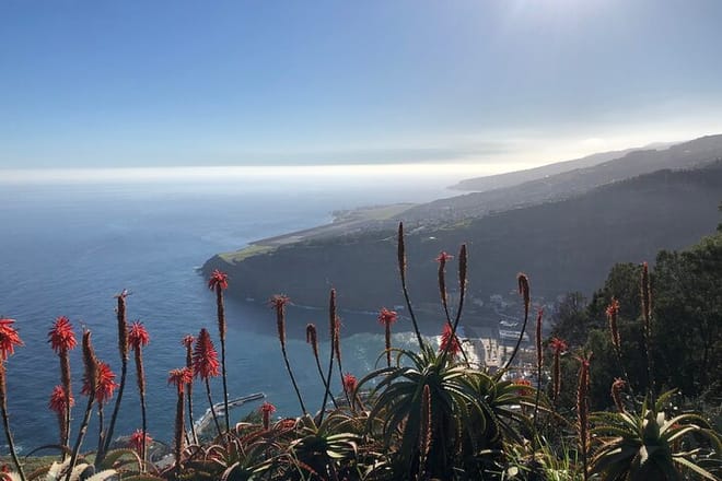Madeira Safari - East of the island 7