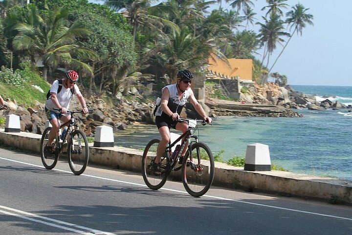 Cycling Adventure Through Galle’s Paddy Fields and Scenic Villages