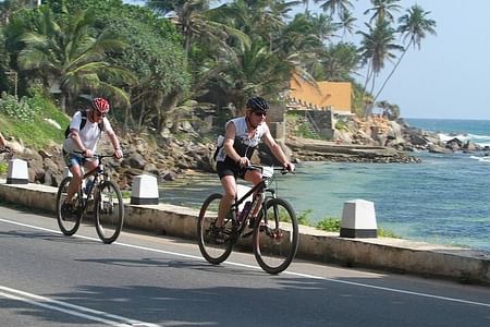 Cycling Adventure Through Galle’s Paddy Fields and Scenic Villages