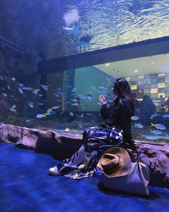 Dubai Aquarium & Underwater Zoo 4
