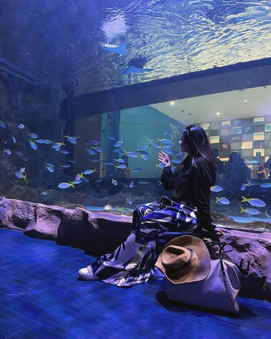 Dubai Aquarium & Underwater Zoo photo 4