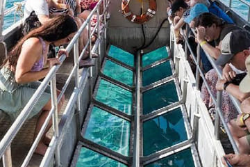 Glass Bottom Boat Tour in Sharm El Sheikh, Egypt