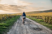 Guided tasting bike ride between Saint-Malo and Cancale 7h 7