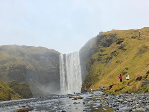 South Coast Private Tour from Reykjavik to Iconic Attractions, photo 4