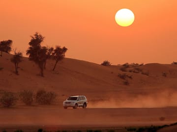 Morning Desert Safari