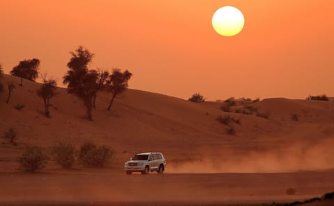 Morning Desert Safari Adventure Tour in Dubai