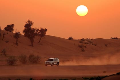 Book 4-Hour Morning Desert Safari Tour from Dubai