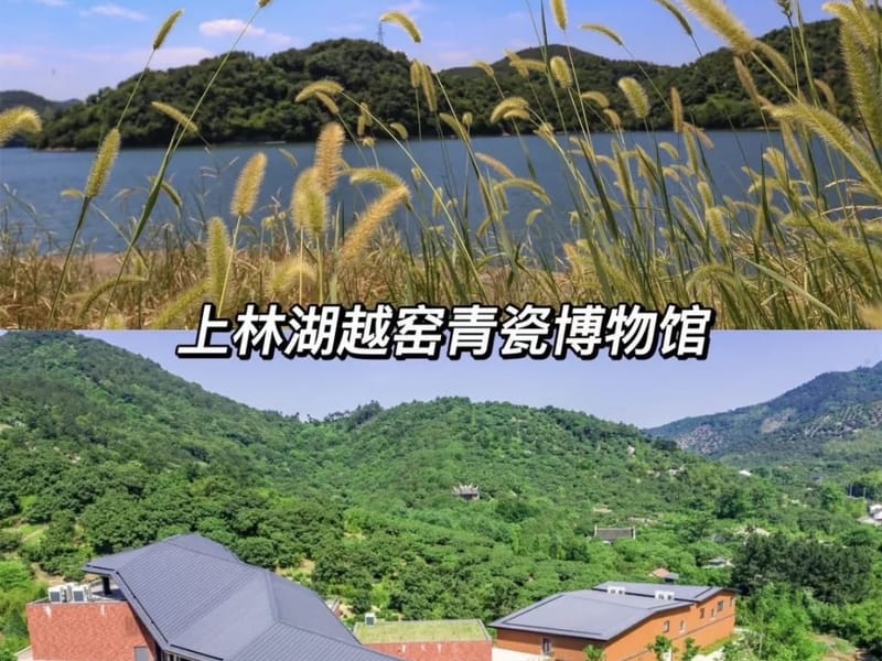 Shanghai: Cixi Bayberry & Scenic Hills Private Day Trip
