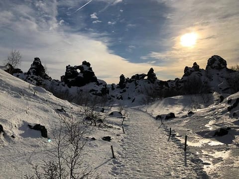 (RS) Lake Myvatn Day Tour and Godafoss Waterfall for Cruise Ships from Akureyri Port, photo 4