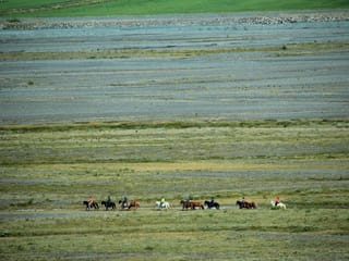 River Delta, photo 11