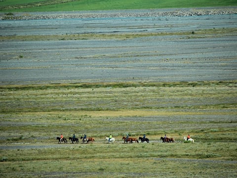 River Delta, photo 11