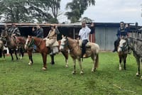 Horseback Riding Experience in Carlos Keen 8