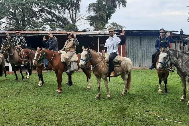 Horseback Riding Experience in Carlos Keen 8