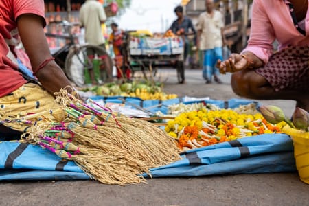 Colombo City Tour: Explore Heritage Sites and Colonial Charm from Bentota