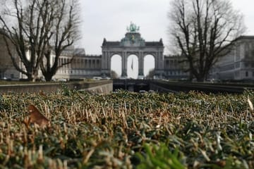 Brussels 5-Hour Cultural Day Tour with Private Transport