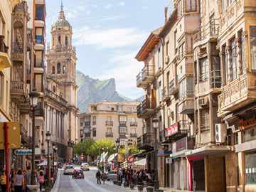 Jaen Highlights private tour