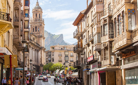 Jaen Highlights private tour