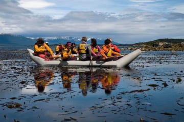 Tierra del Fuego Eco-Adventure: Canoeing and Penguin Colony Tour