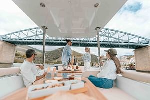 Douro Valley Private 2h Solar Boat Tour Wine Tasting Included