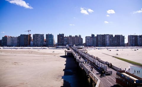 Private Full-Day Tour of De Haan from Brussels