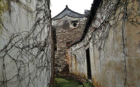 Private Hiking Tour of Tai Lake and Moli Peak from Shanghai