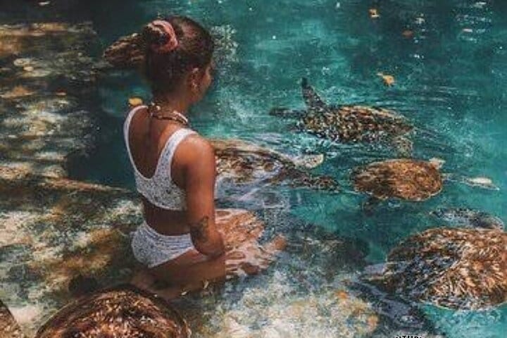 Zanzibar Spice Farm Tour and Cooking Class With Lunch