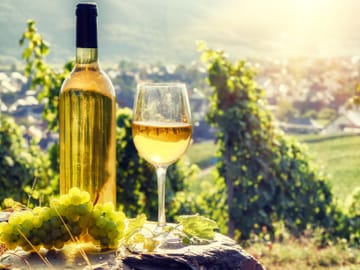 Romanian Wineries Tour from Bucharest