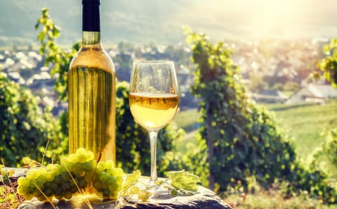 Romanian Wineries Tour from Bucharest
