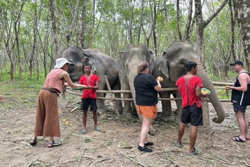 Khao Lak Elephant Sanctuary Full Day Small Group Tour