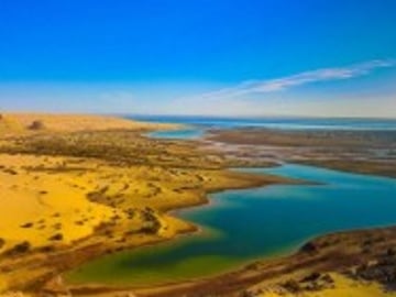 Over Day Cairo to Safari Al Fayoum
