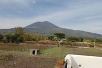 Mount Vesuvius Half Day Private Tour  1