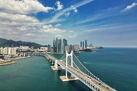 Customized Private Tour of Busan: Cherry Blossoms, Seafood, and Scenic Views