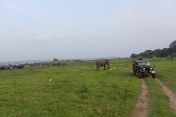 Sigiriya with Minneriya or Kaudulla Tour
