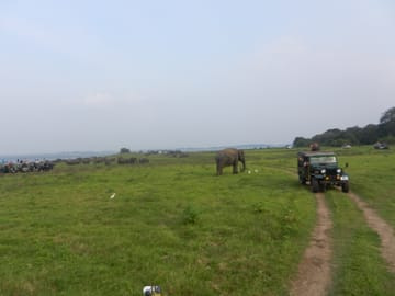 Sigiriya Rock Fortress and Minneriya National Park Tour