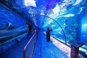 Grand Aquarium Hurghada Amazing Tour With Transfer - Hughada