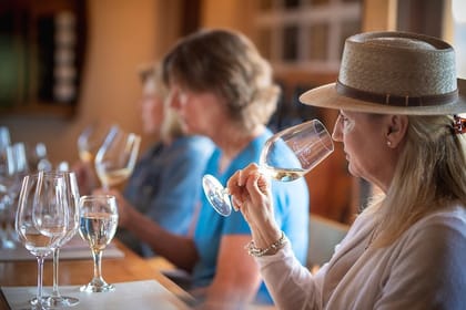 7-Days Unique Experience visiting the best Chilean & Argentinean Wine Valleys!