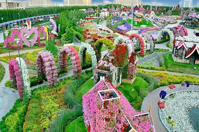 Dubai : Miracle Garden, The World’s Largest Flower Paradise