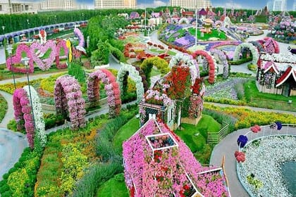 Dubai : Miracle Garden, The World’s Largest Flower Paradise