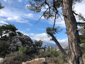 in the mountains