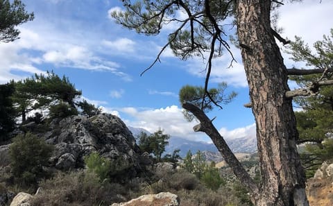 ATV Adventure and Olive Oil Tasting in Kritsa, Agios Nikolaos