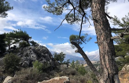 ATV Adventure and Olive Oil Tasting in Kritsa, Agios Nikolaos