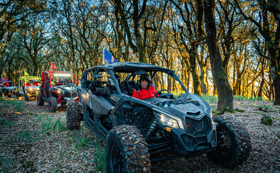 Half-Day Buggy Adventure & Beach BBQ Experience in Tangier