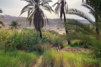3 Days Tour - Explore the Path of Moses in Tabuk 9
