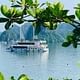 Private Transfer on Expressway & Luxury Cruise 07 Hours on Bay